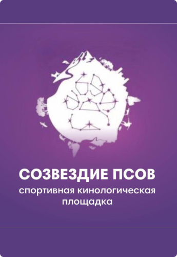 Созвездие псов